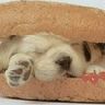 myspace icons